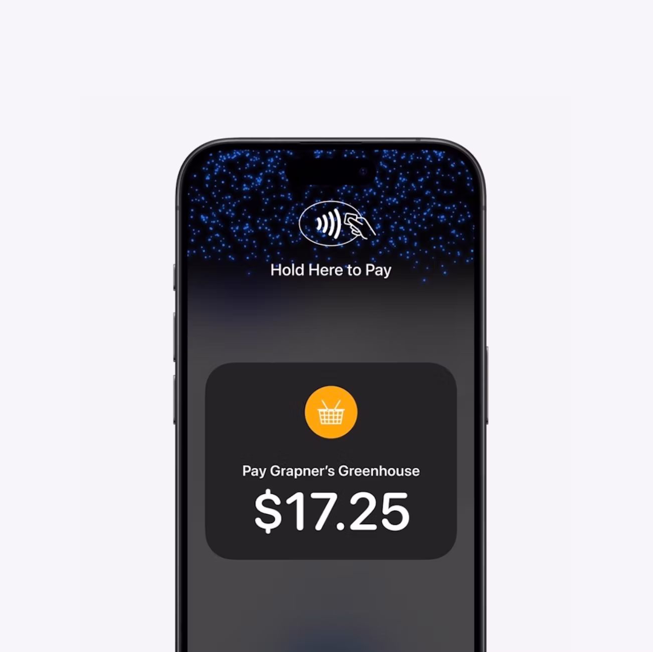 Security Screenshot